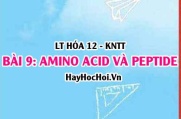 Tính chất hóa học, vật lí của Amino acid và Peptide, khái niệm, danh pháp, đặc điểm cấu tạo? Hóa 12 bài 9 KNTT